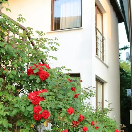 Apartament Buba